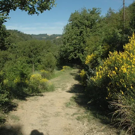 Bed & Breakfast Rio Sasso Marconi