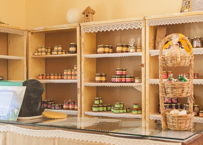 Bed and Breakfast Rio