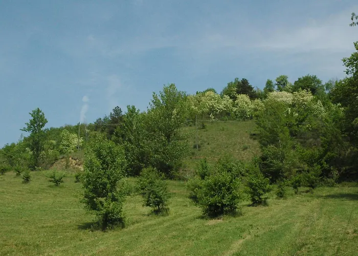 Bed and Breakfast Rio