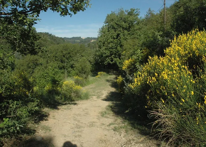 Bed and Breakfast Rio Sasso Marconi