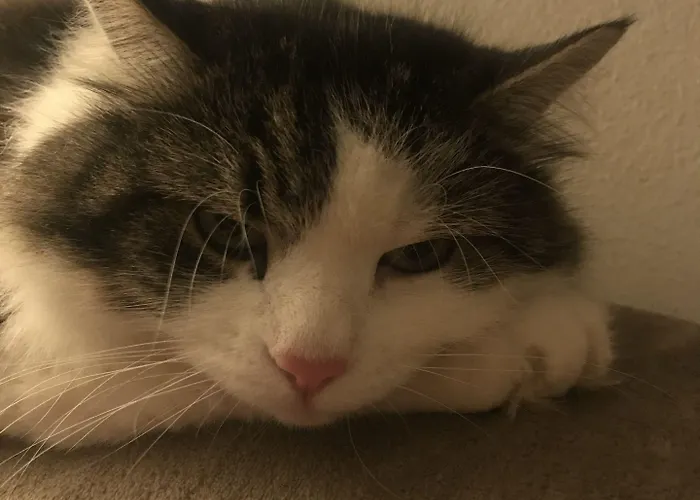 Rio Bed and Breakfast 4*