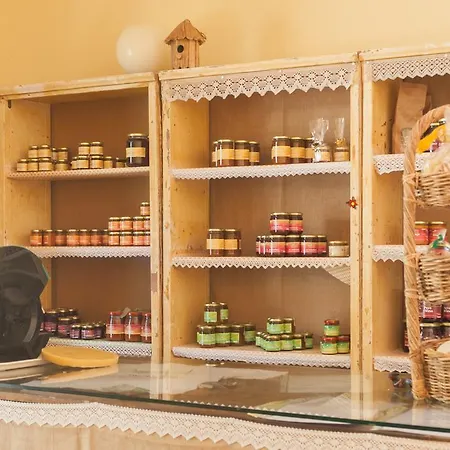 Alojamento de Acomodação e Pequeno-almoço Rio