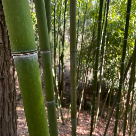 ベッド・アンド・ブレックファスト Rio 4*