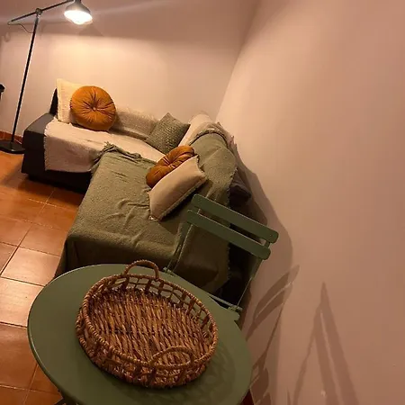 Rio サッソ・マルコーニ