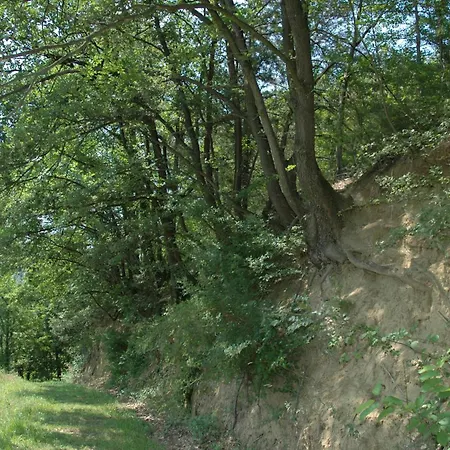 ベッド・アンド・ブレックファスト Rio 4*