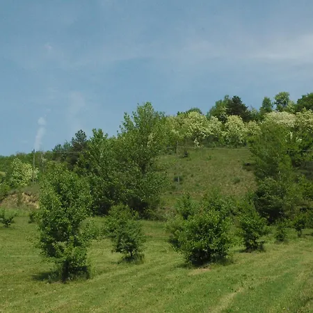 ベッド・アンド・ブレックファスト Rio