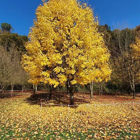 Bed & Breakfast Rio 4*