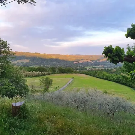 Rio 4* サッソ・マルコーニ