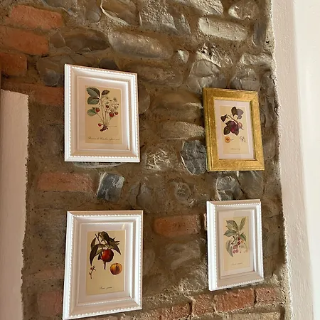 Rio Bed & Breakfast Sasso Marconi