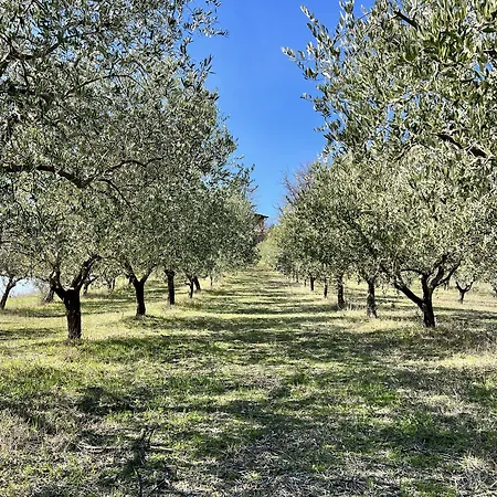 Rio Frühstückspension 4*