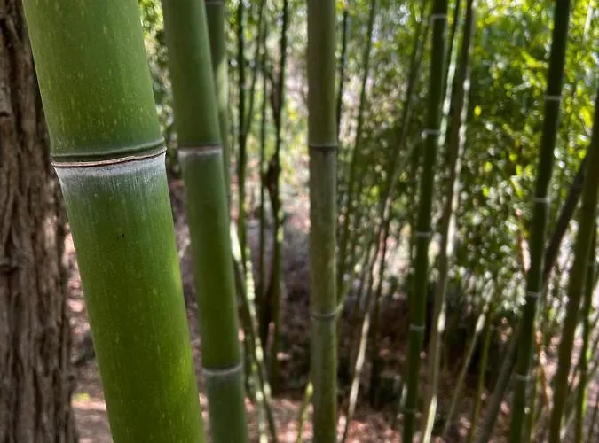 Nocleg ze śniadaniem Rio 4*