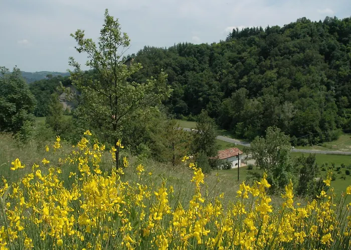 Couette-café Rio Sasso Marconi