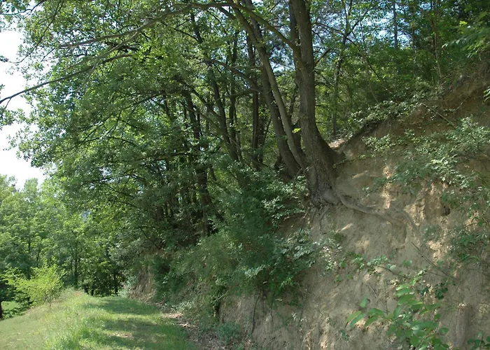 Nocleg ze śniadaniem Rio 4*